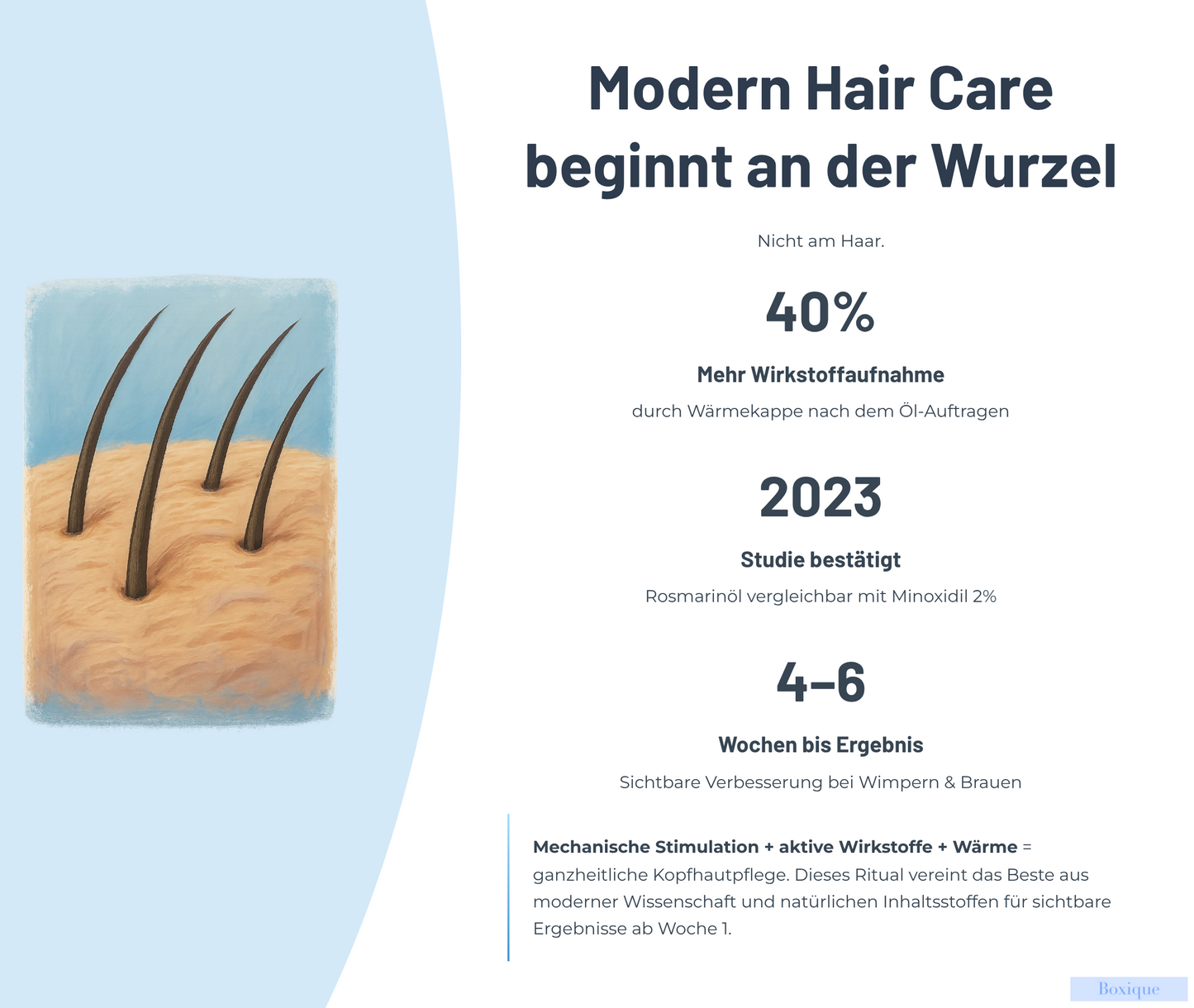 Haarwachstum & Kopfhaut Set